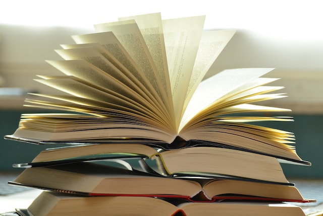 Bachelors Courses in Switzerland